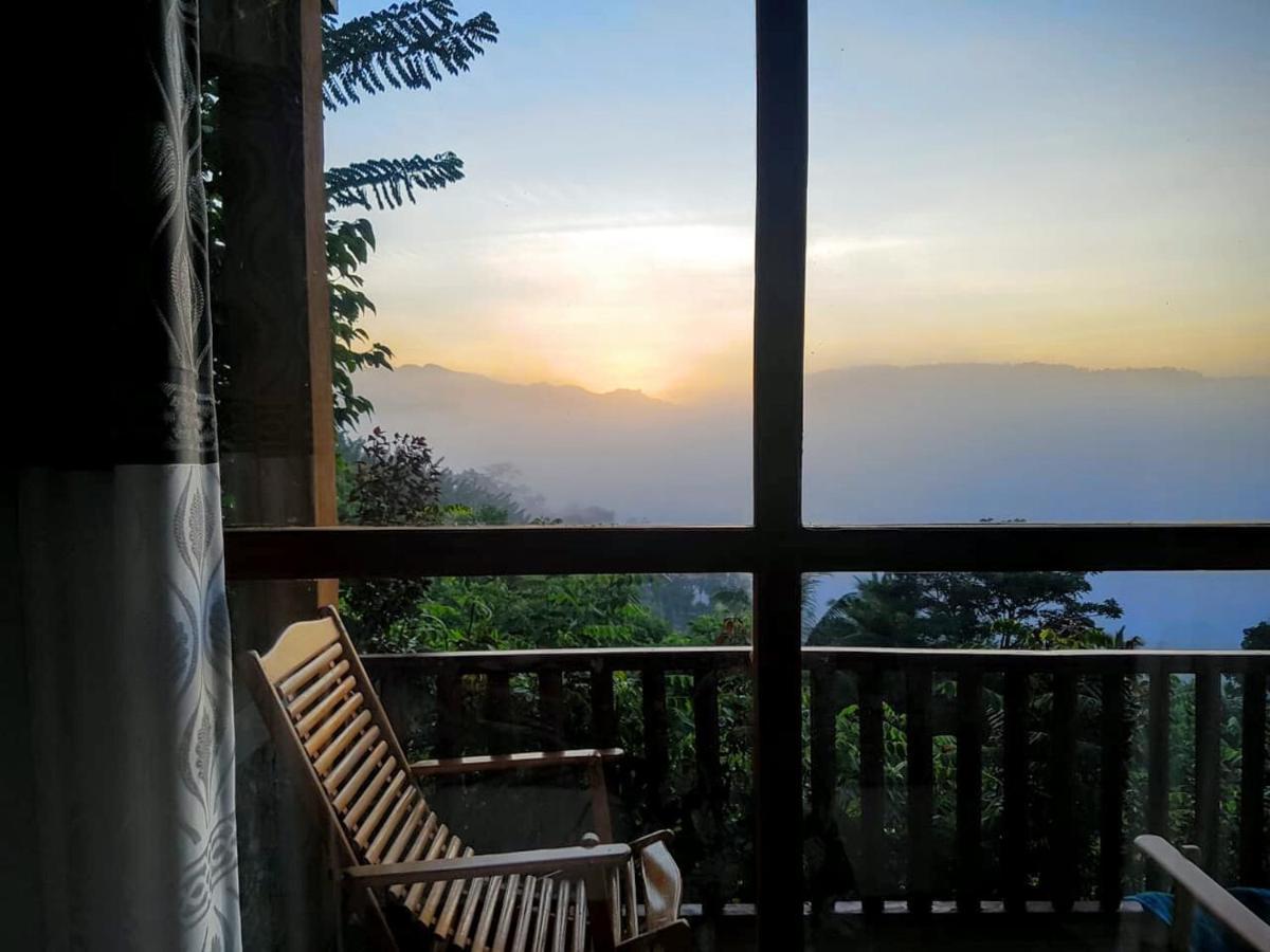 Rainforest Nature House Deniyaya Exterior foto