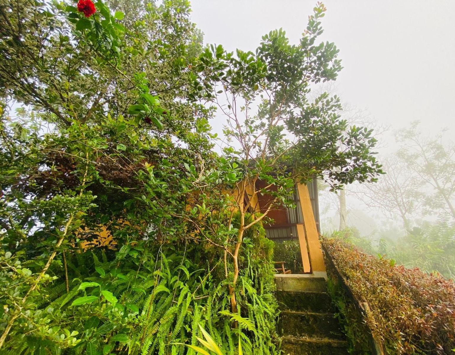 Rainforest Nature House Deniyaya Cameră foto
