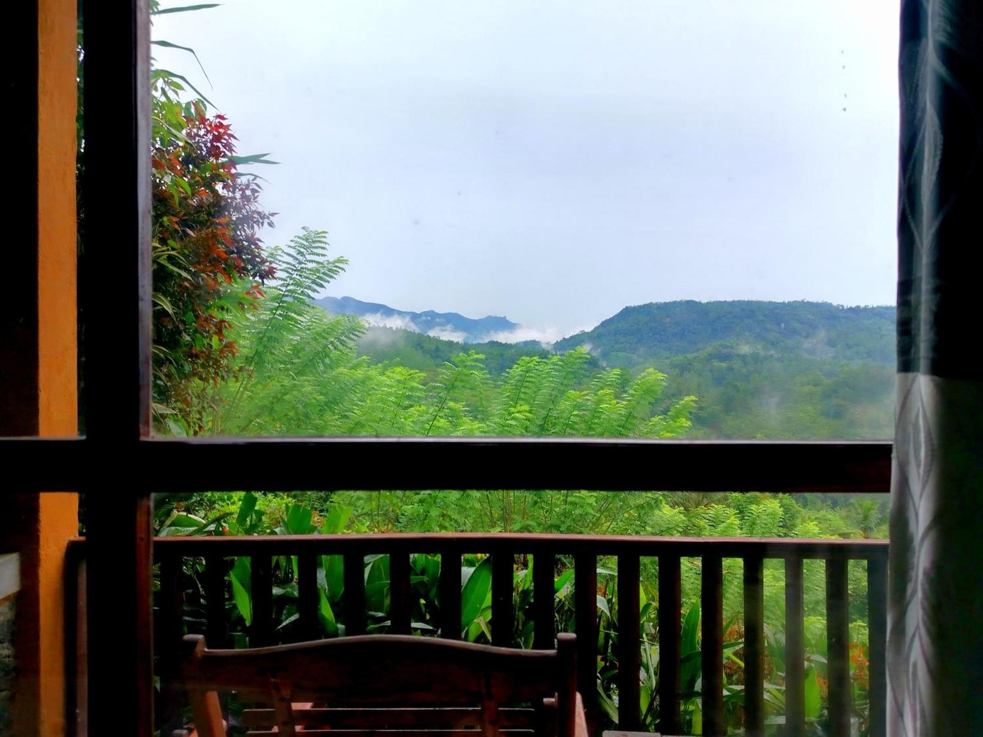 Rainforest Nature House Deniyaya Cameră foto